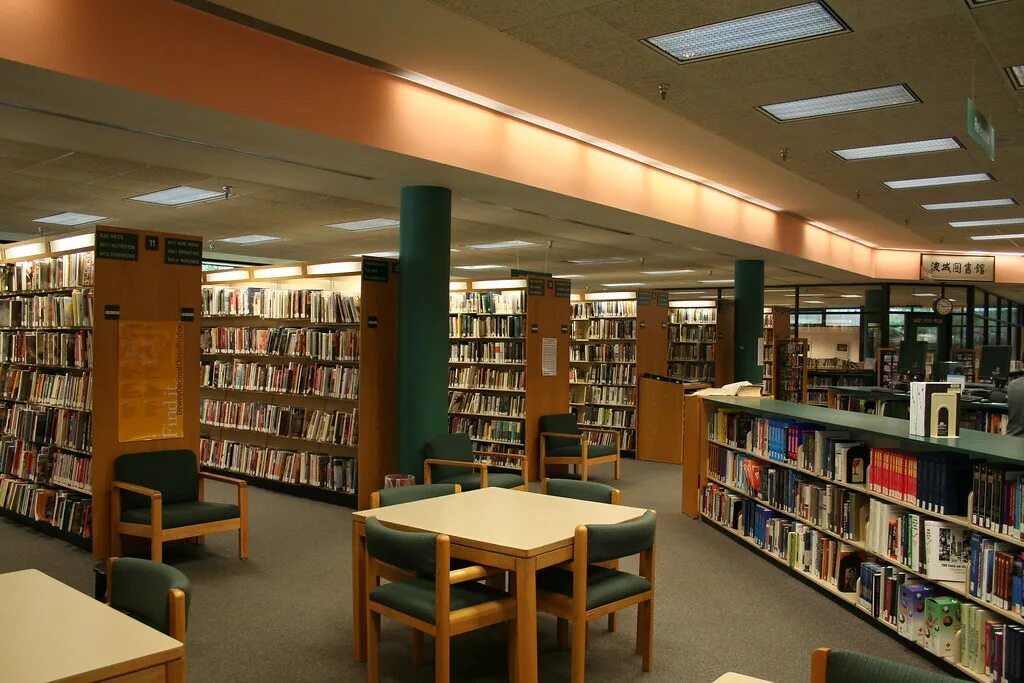 Библиотека социальных практик. Публичная библиотека Нью-Йорка. Техасский университет библиотека. Библиотека университета Альберто. Библиотека вуза.