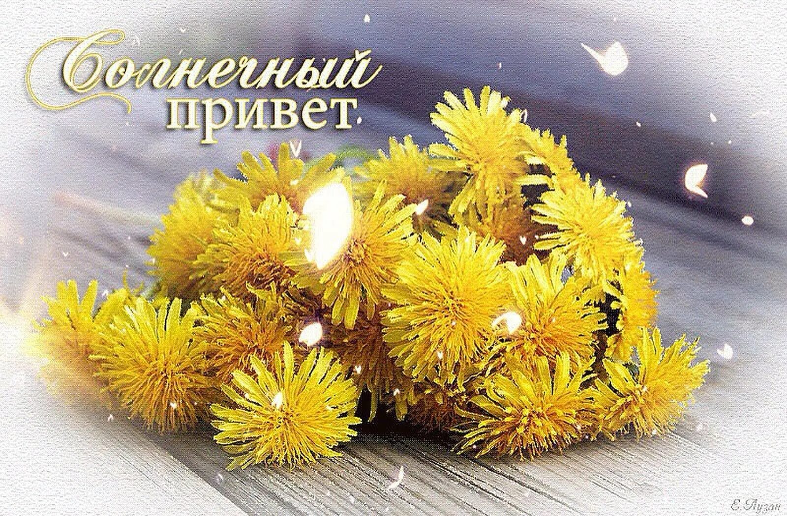 Одуванчики солнечного настроения. Открытка солнышко. Солнечного дня и хорошего настроения. Привет солнечного дня. Солнечный день.