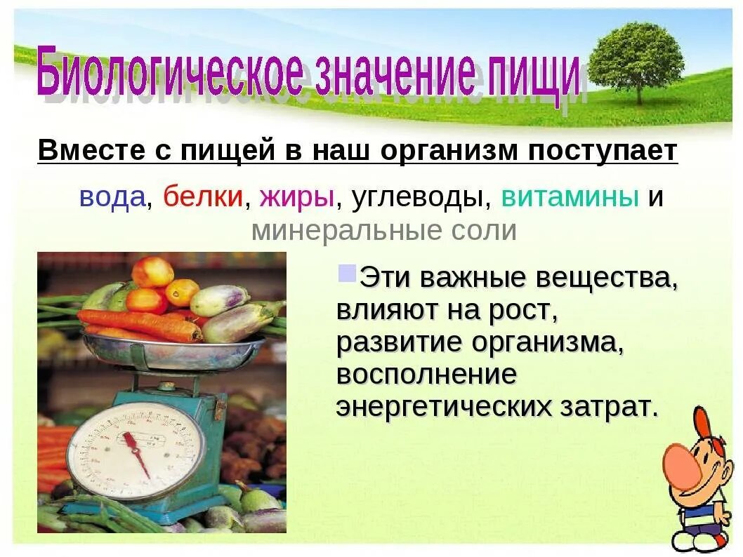 Основные источники белков жиров углеводов. Важность здорового питания. Рациональное питание. Занятие по правильному питанию. Пять принципов здорового питания.