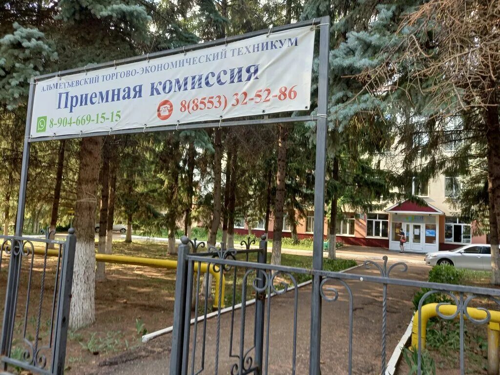 Сайт альметьевского торгово экономического. Сайт альметьевского торгово экономического. Торгово-экономический техникум альметьевск. Торгово-экономический техникум альметьевск. Альметьевский торгово-экономический техникум логотип.