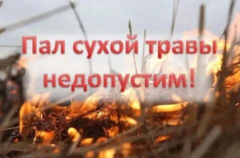 Музыка пал пал