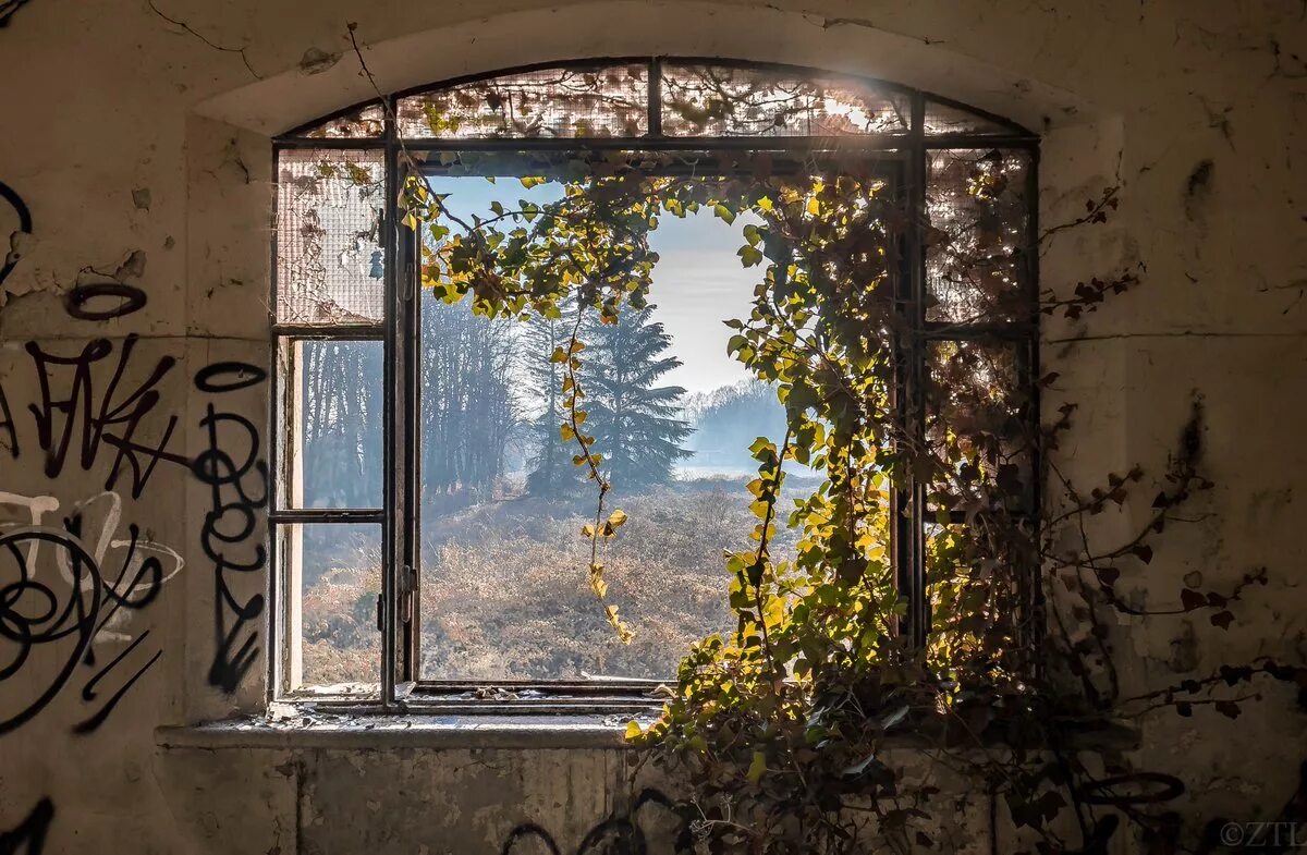Разрушенное окно. Окно в ЗАБРОШКЕ. Окно в заброшенном здании. Окно заброшенного дома. Старое заброшенное окно.
