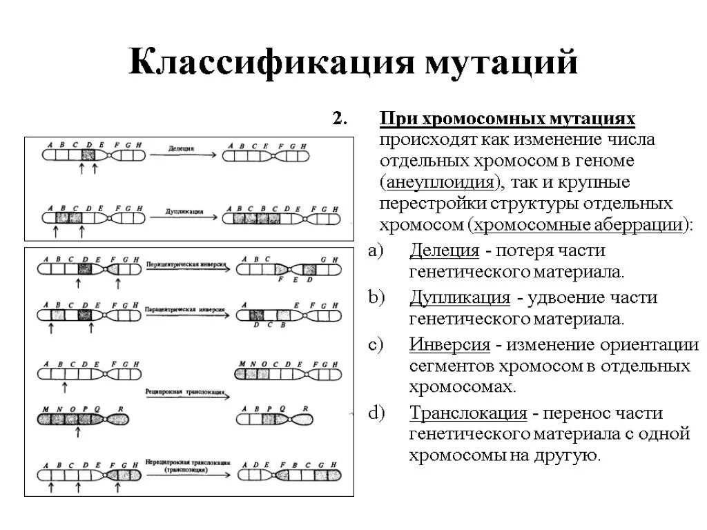 Изменение числа отдельных хромосом