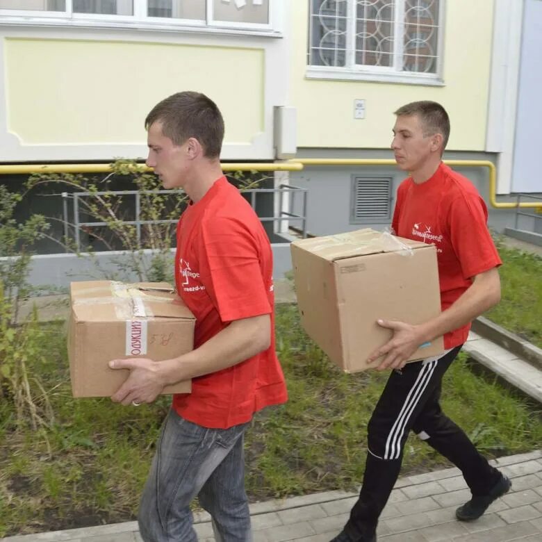 Работа грузчиком в костроме