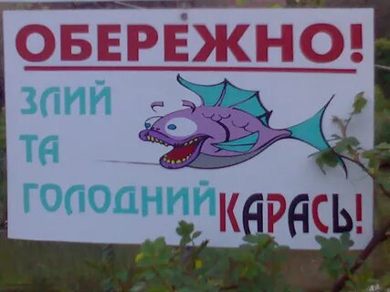 Снова лето ушло карась
