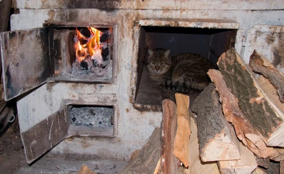 Рыжий зверь в печи сидит. Кот на печке. Печка на дровах. Коты на печке. Топка русской печи.