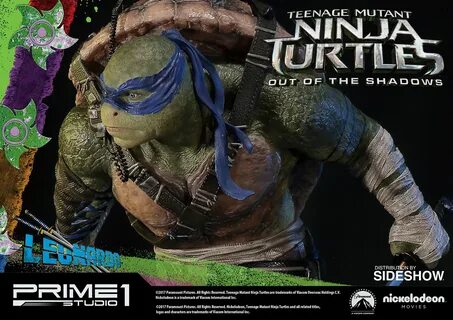 Turtles out of the shadows