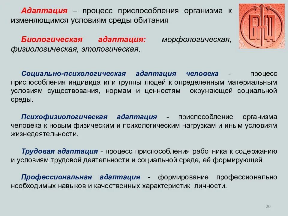 Адаптация это процесс приспособления. Адаптация БЖД. Виды адаптации БЖД. Виды адаптации человека БЖД.