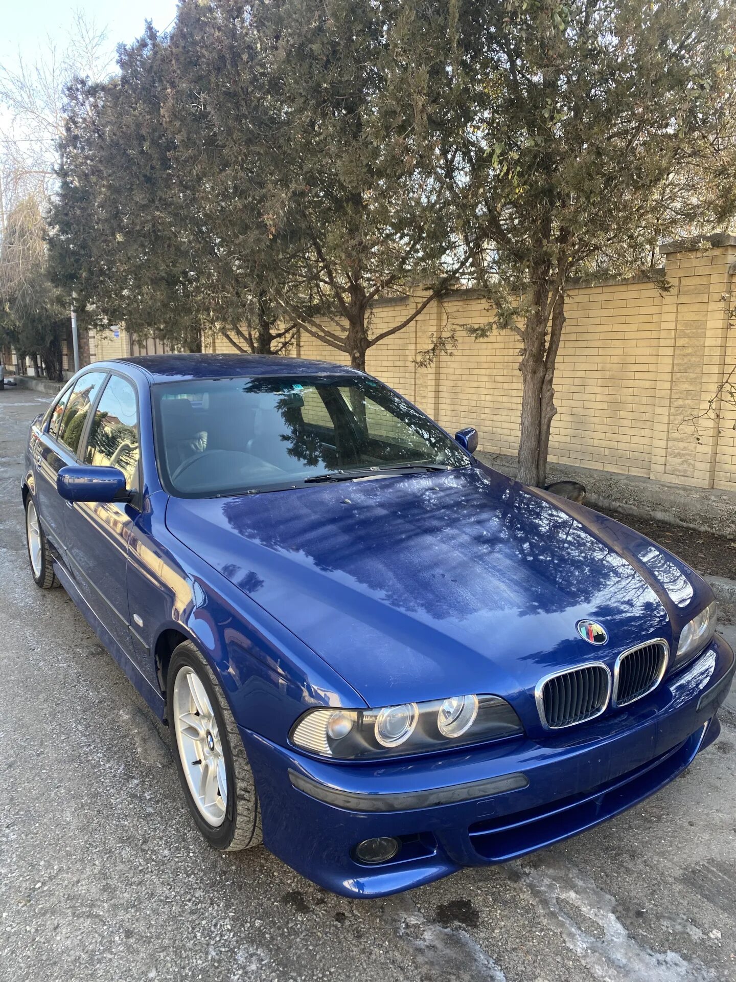 Разбор е46 москва. BMW e39 синяя. BMW 525 39 кузов. Е39 дорест. Е39 le mans Blue.