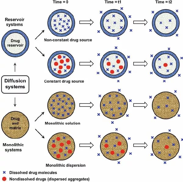 Diffusion mechanisms. Stable diffusion структура сети. Drug release. Control net stable diffusion свет.