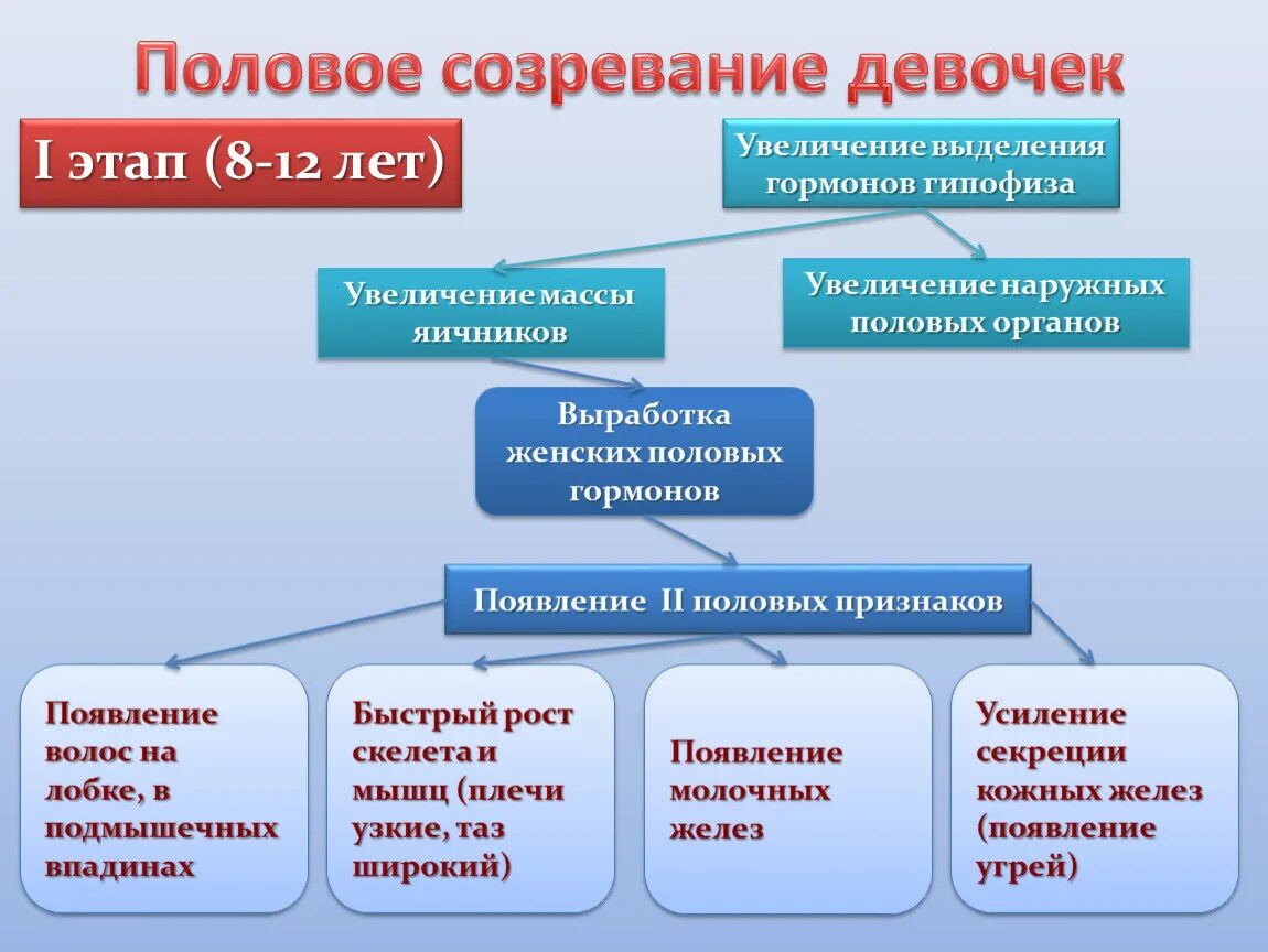 Этапы полового развития мальчика. Этапы полового созревания мальчиков. Половое созревание у мальчиков этапы. Этапы полового созревания девочек. Что значит пубертатный период