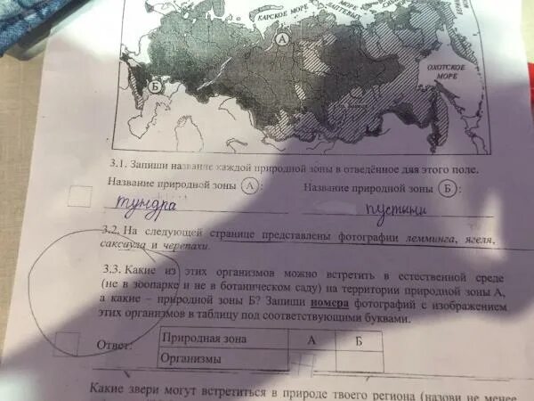 Запишите под соответствующими. Запишите под соответствующими
