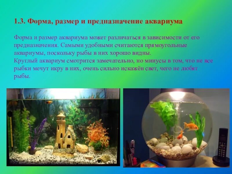 Аквариум для презентации. Обитатели аквариума с аквариумом. Проект аквариум. Презентация на тему аквариум.