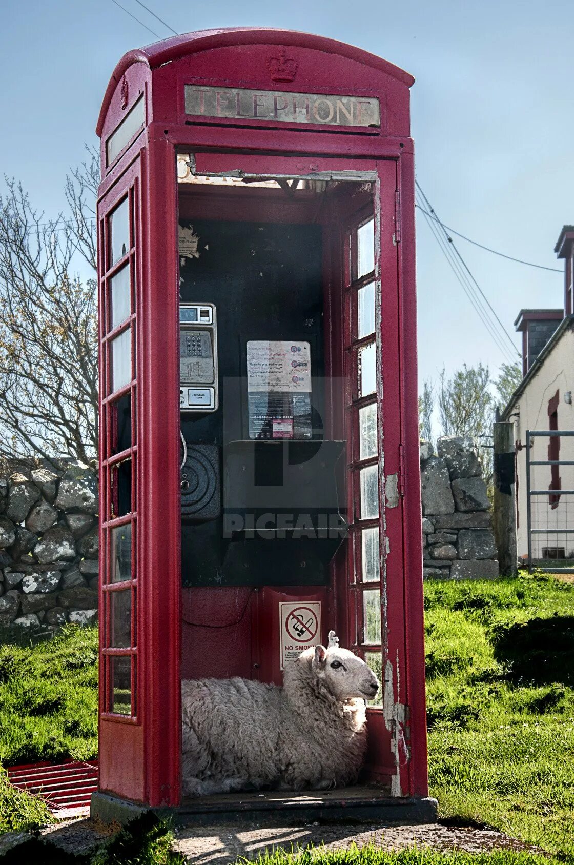 Pet phone. Будка. Будка смешная. Красивая будка. Телефонная будка Нью Йорк.