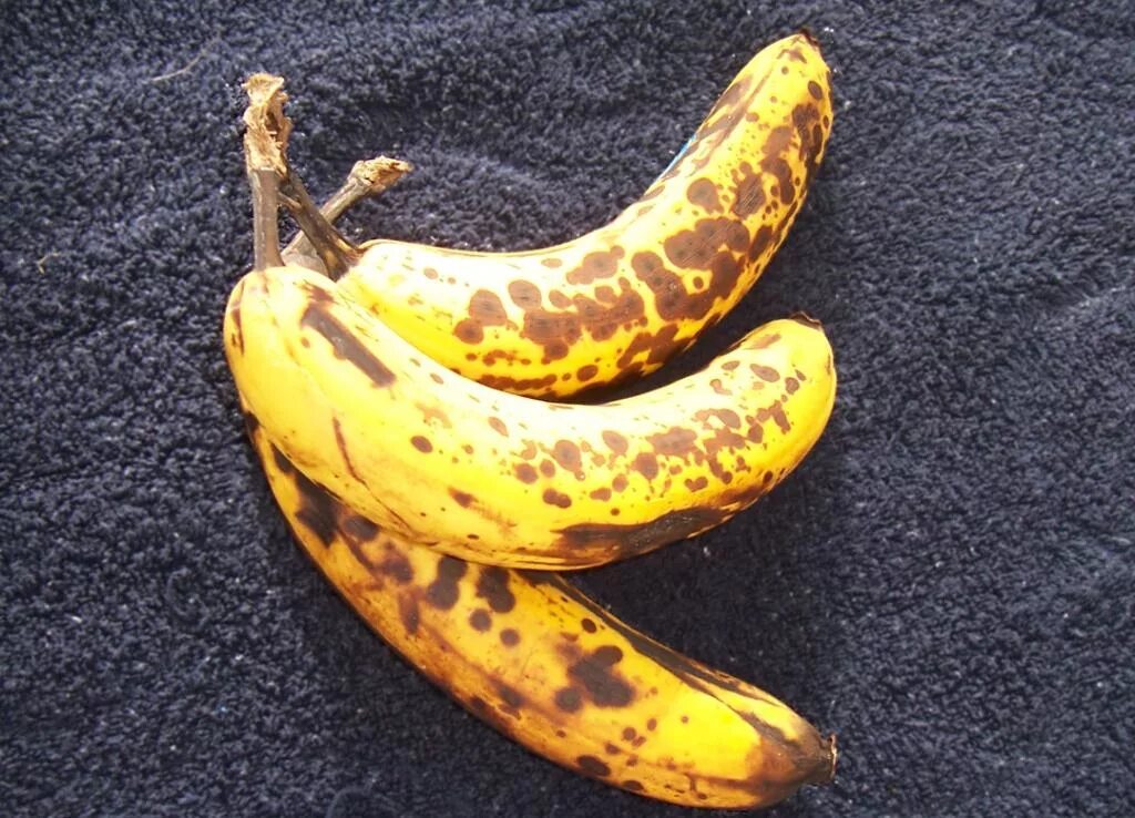 Ел кожуру бананов. Банан с пятнышками. Банан с пятнами. Черные бананы сорт. Почерневший банан.