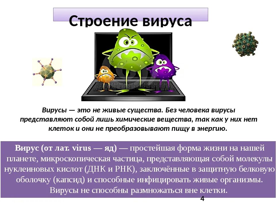 Представители вирусов 5 класс биология. Вирусы биология. Вирусы по биологии. Информация о вирусах. Вирусы презентация.