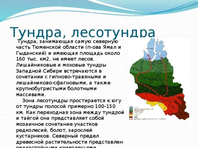 Природные зоны Западно сибирской равнины на карте. Границы природных зон Западной Сибири. Природные зоны Тюменской области тундра. Природные зоны Западной Сибири карта. Природные зоны западной сибири россии