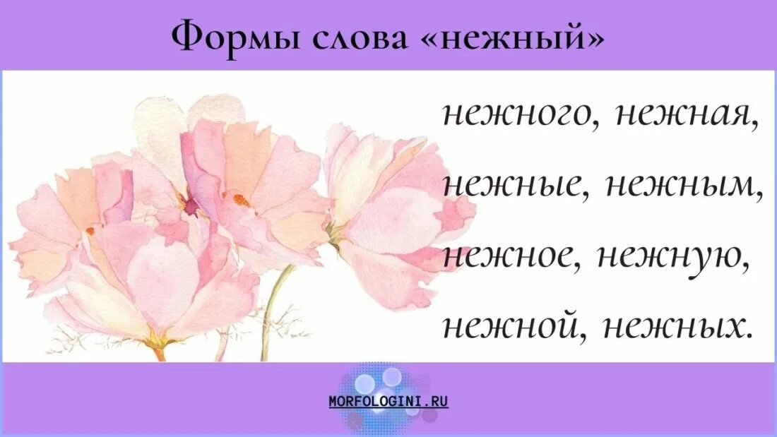 Значение слова нежный. Бесчувственный краткая форма прилагательного. Краткая форма слова ласковый. Начальная форма слова ласковом. Начальная форма слова различные.