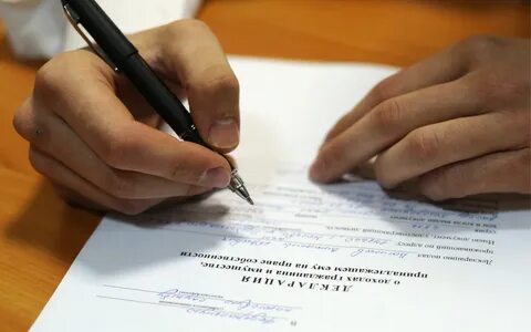 В центре внимания декларации находится