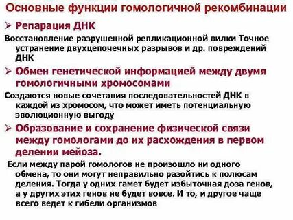 Гомологичная репарация