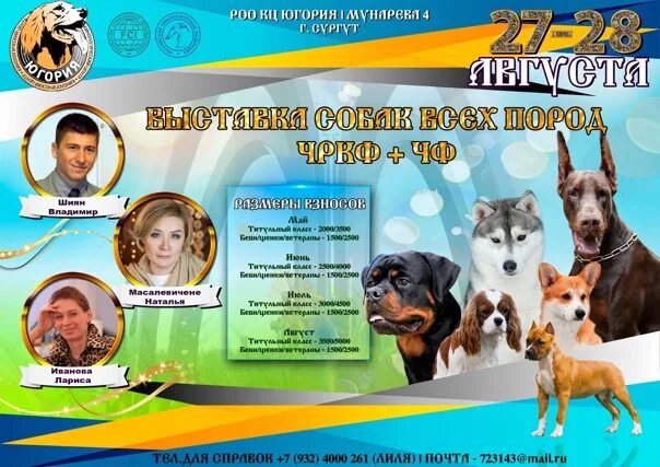 Зоопортал выставки собак тольятти 2022. Зоопортал пермь выставка собак. Зоопортал ярославль 18 мая 2024. Зоопортал казань. Собачьи выставки.