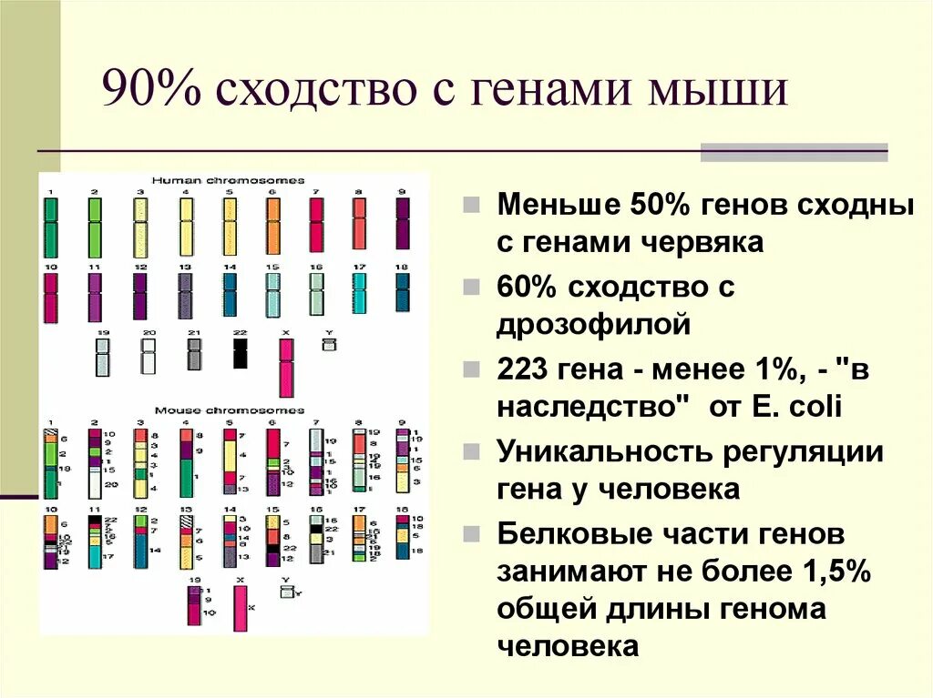 Количество генов