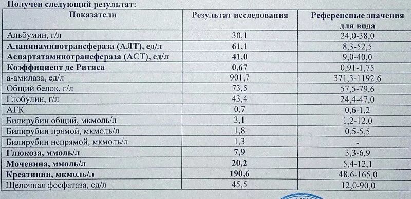 Высокое аст в крови у женщин. Алт щелочная фосфатаза норма. Норма алт и АСТ В крови при беременности. АСТ норма у беременных. Алт и АСТ норма у беременных женщин.