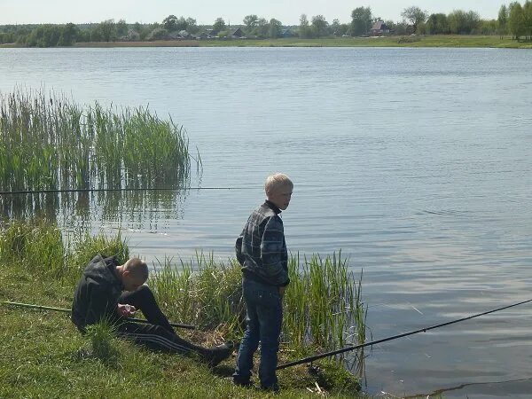 Погода на неделю брасово брянской. Брасово. усадьба апраксиных брасово. брасово станция. погода брасово.