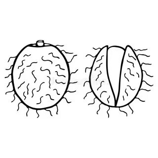 Rambutan fz шаблон кому лень писать
