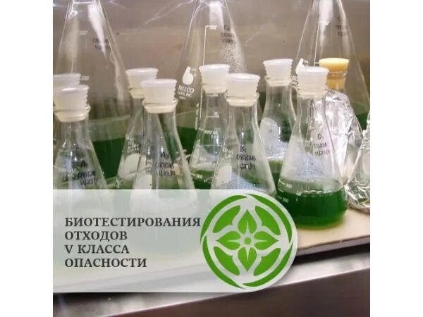 Протокол биотестирования отходов 5. Биотестирование отходов. биотестирование 5 класс. биотестирование отходов v класса опасности. тест-объекты для биотестирования.
