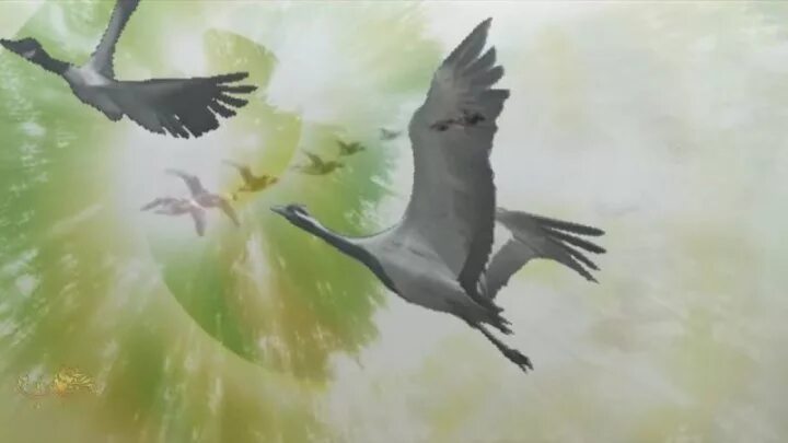 Песня улетает мама. Улетают наши мамы улетают стихи. Песня улетает мама. Текст песни улетай на крыльях ветра. А годы летят.