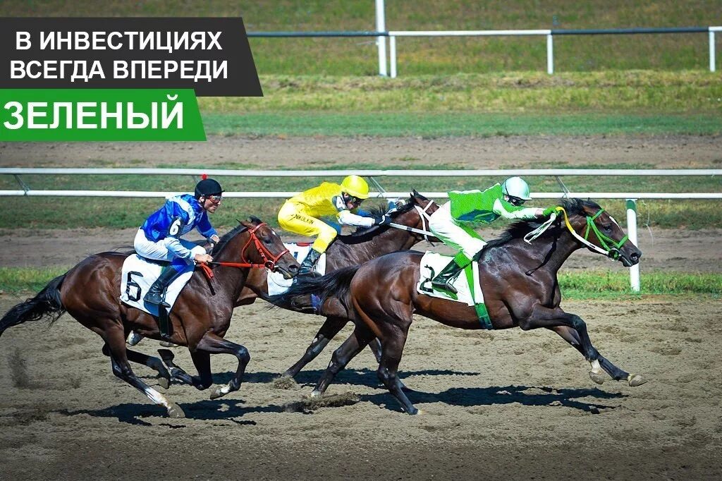В уэльсе бегуны и всадники обогнали лошадей
