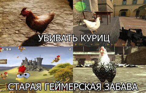 Куры мемы