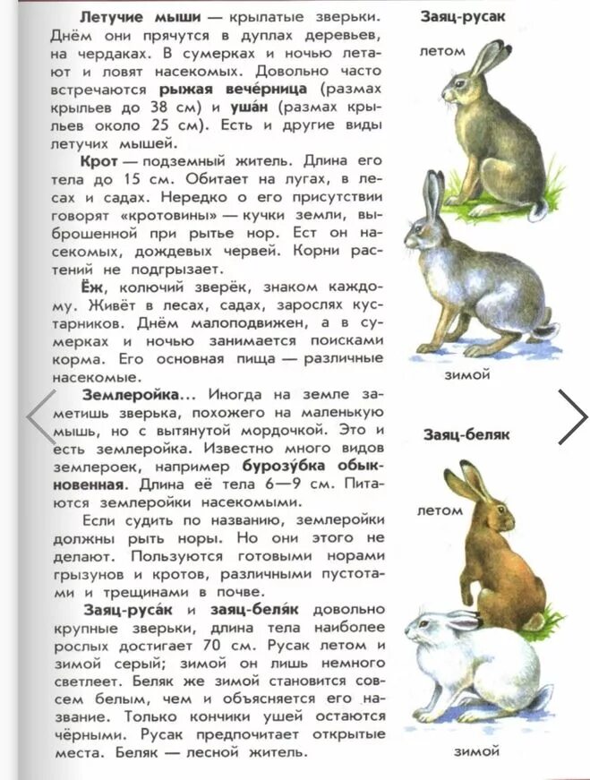 книга зелёные страницы 2 заяц беляк и заяц. книга зеленые страницы беляк и русак. зеленые страницы беляк и русак читать. зеленые страницы беляк и русак читать. цепочки следов окружающий мир.