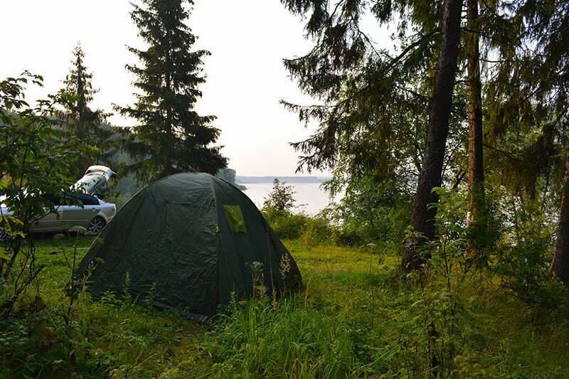 Camping в подмосковье. Иваньковское водохранилище кемпинг палатки. Можайское водохранилище палаточный лагерь. Палаточные лагеря на Можайском водохранилище. Палаточный кемпинг Можайское водохранилище.