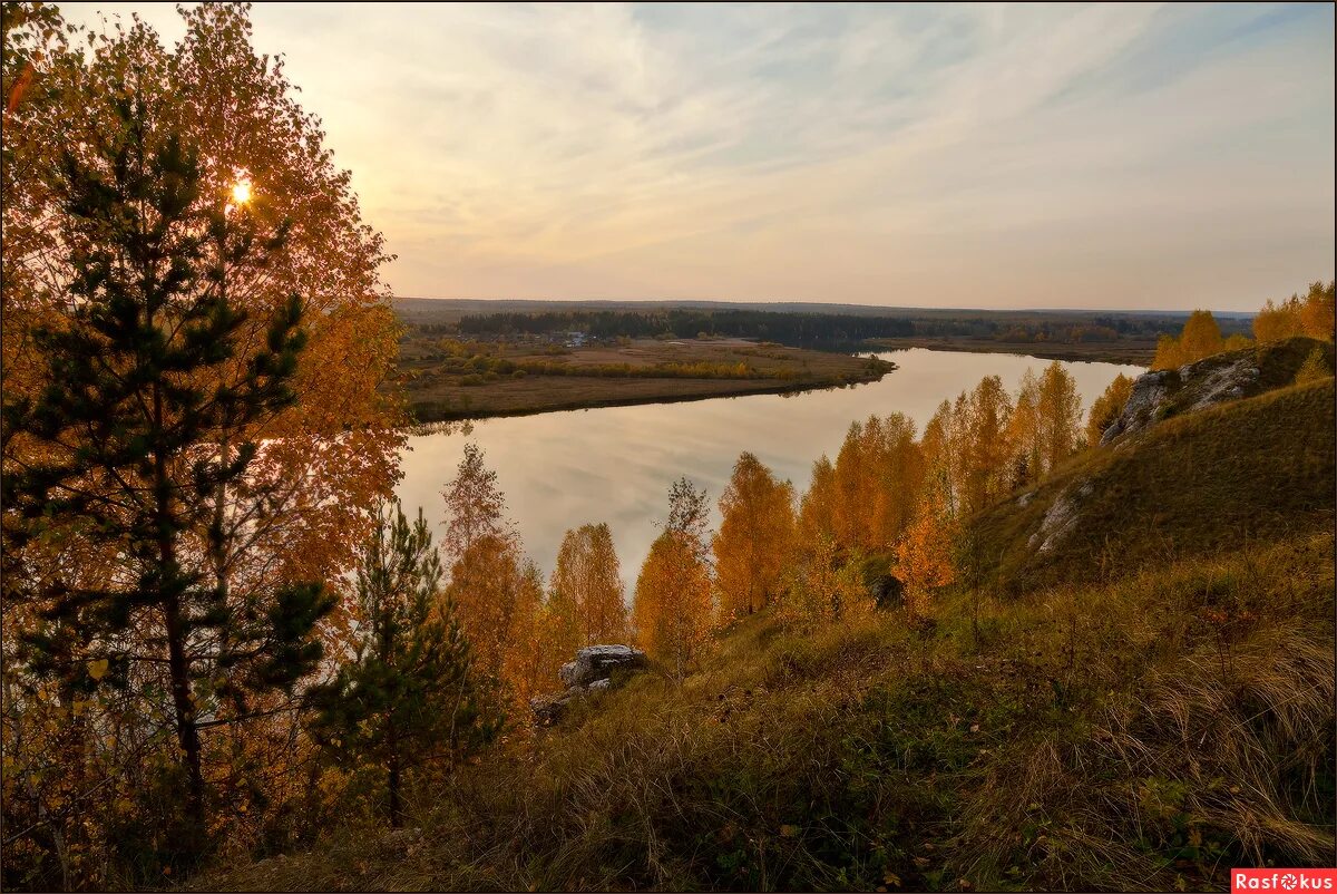 Река сылва пермский край. Заказник предуралье пермский край камень ермак. Кедры на сылве пермь. Сылва река пороги. Камень ермак.