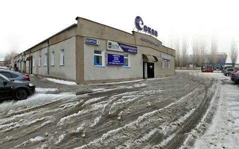 Бел арм