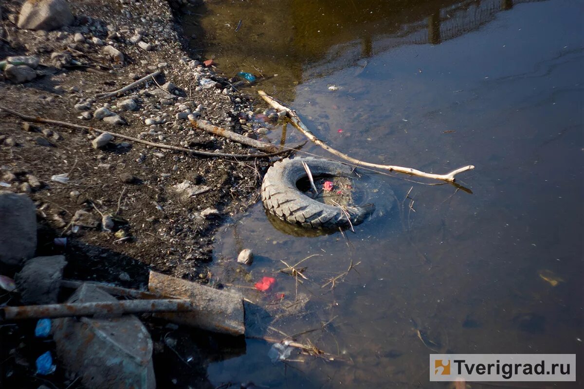 Осушенное озеро. Загрязнение Волги. Грязный водоем. Обмеление водоема. Брошенные водоемы