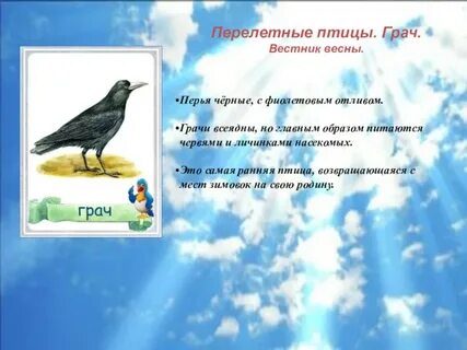 1 вестники