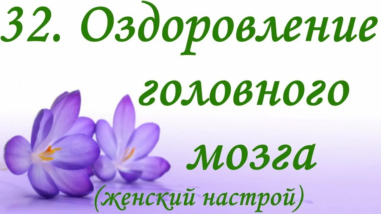 Настрой сытина для нервной системы для женщин. Настрои Сытина на оздоровление. Настрой на оздоровления организма. Настрой Сытина на оздоровление головы для женщин. Настрои Сытина на оздоровление нервной системы для женщин.