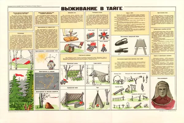 Если босс дикарь правила выживания читать полностью. Памятка выживания. Памятка выживания в тайге. Инструкция выживания в лесу.