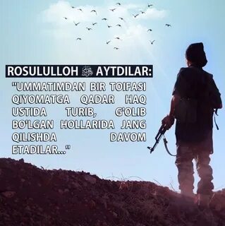 Boy akam