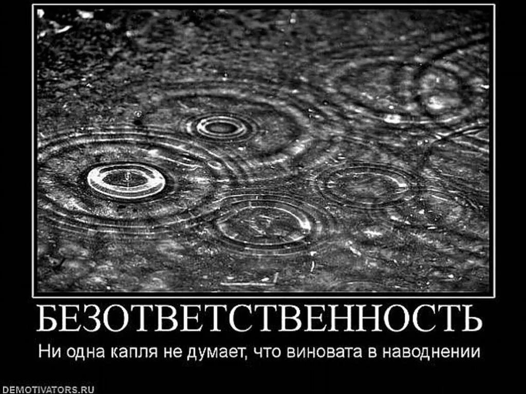 Какого человека можно считать безответственным. Безответственность. Безответственные люди цитаты. Фразы безответственного человека. Афоризмы про безответственность.