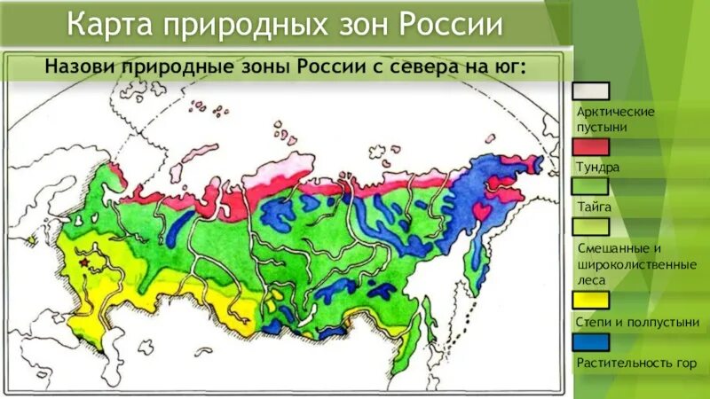 Зона смешанных и широколиственных лесов на карте России. Карта природных зон России широколиственные леса. Зона лесов на карте России 4 класс. Зоны тайги смешанных и широколиственных лесов на карте России.