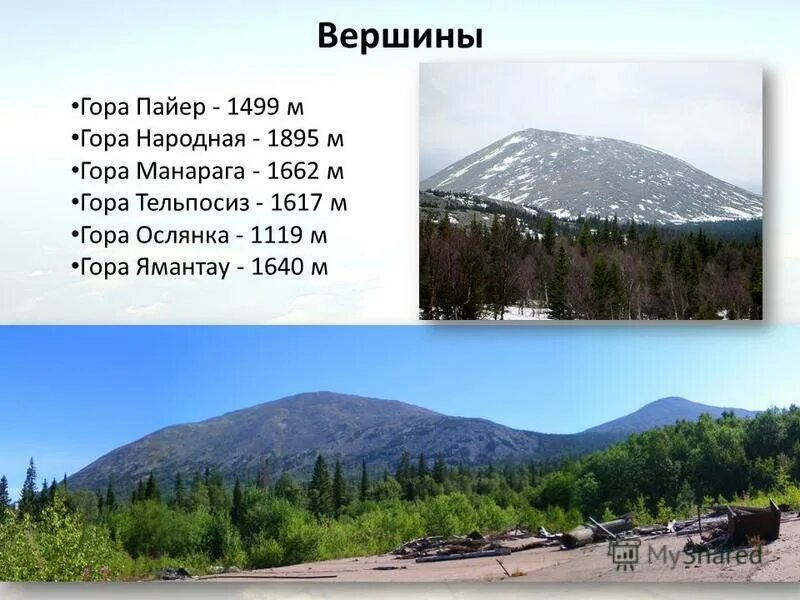 Какая высота горы народной. Урал гора Ямантау. Гора Пайер — 1499 м. Самая высокая вершина Урала - гора народная.