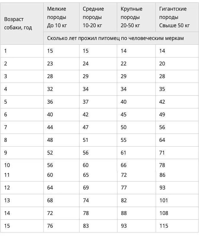 Возраст собаки по человеческим меркам таблица месяцы. Возраст собаки 3 месяца по человеческим меркам таблица. Собаке 13 лет сколько по человеческим меркам таблица. Сколько лет собаке по человеческим меркам таблица 2 месяца.