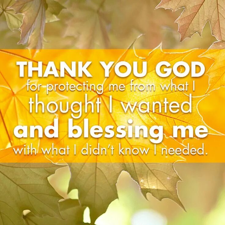Thank god for you. Thanks for everything. Thank you for your patience. Thank you my god. Thank you my god.