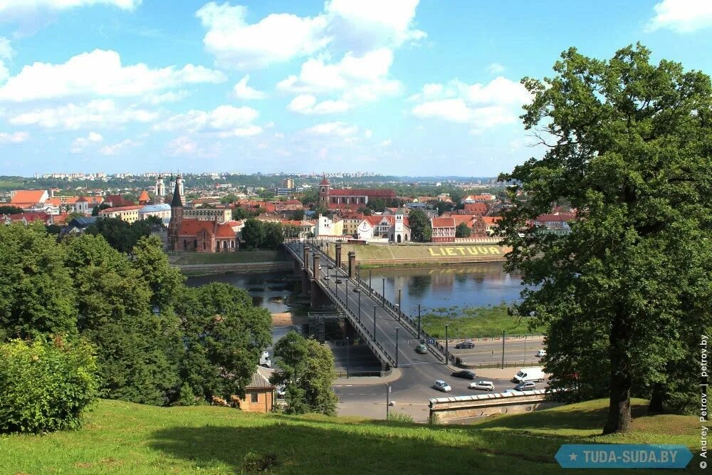 Литва лучше латвии. Литва лучше латвии