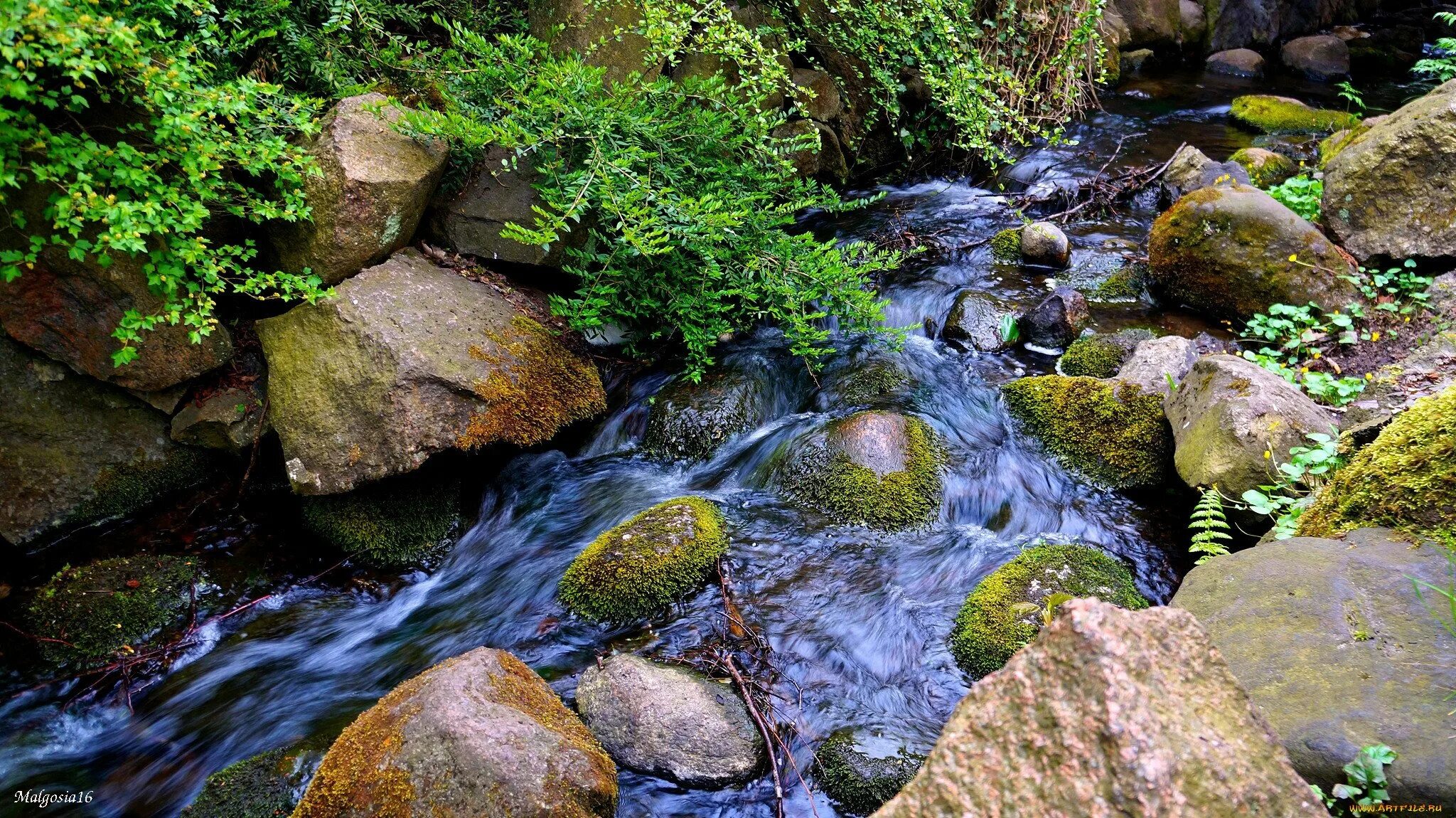 Звучание ручья. Ручей. Ручей с камнями. Вода ручей. Камушки в ручье.