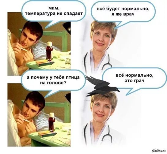 Все работает нормально. Все нормально это грач. мемы про врачей и пациентов. врач мем. мемы про докторов и пациентов.